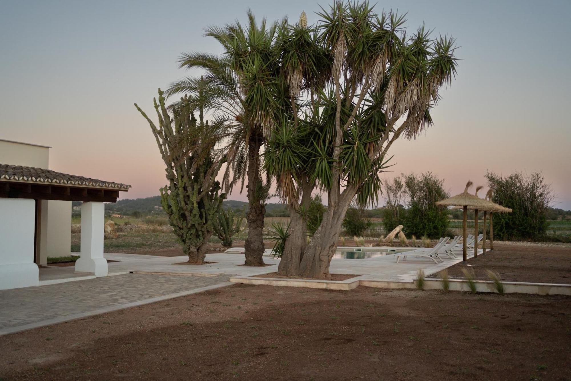 Vino Resort Son Amaret Son Macià Exterior foto