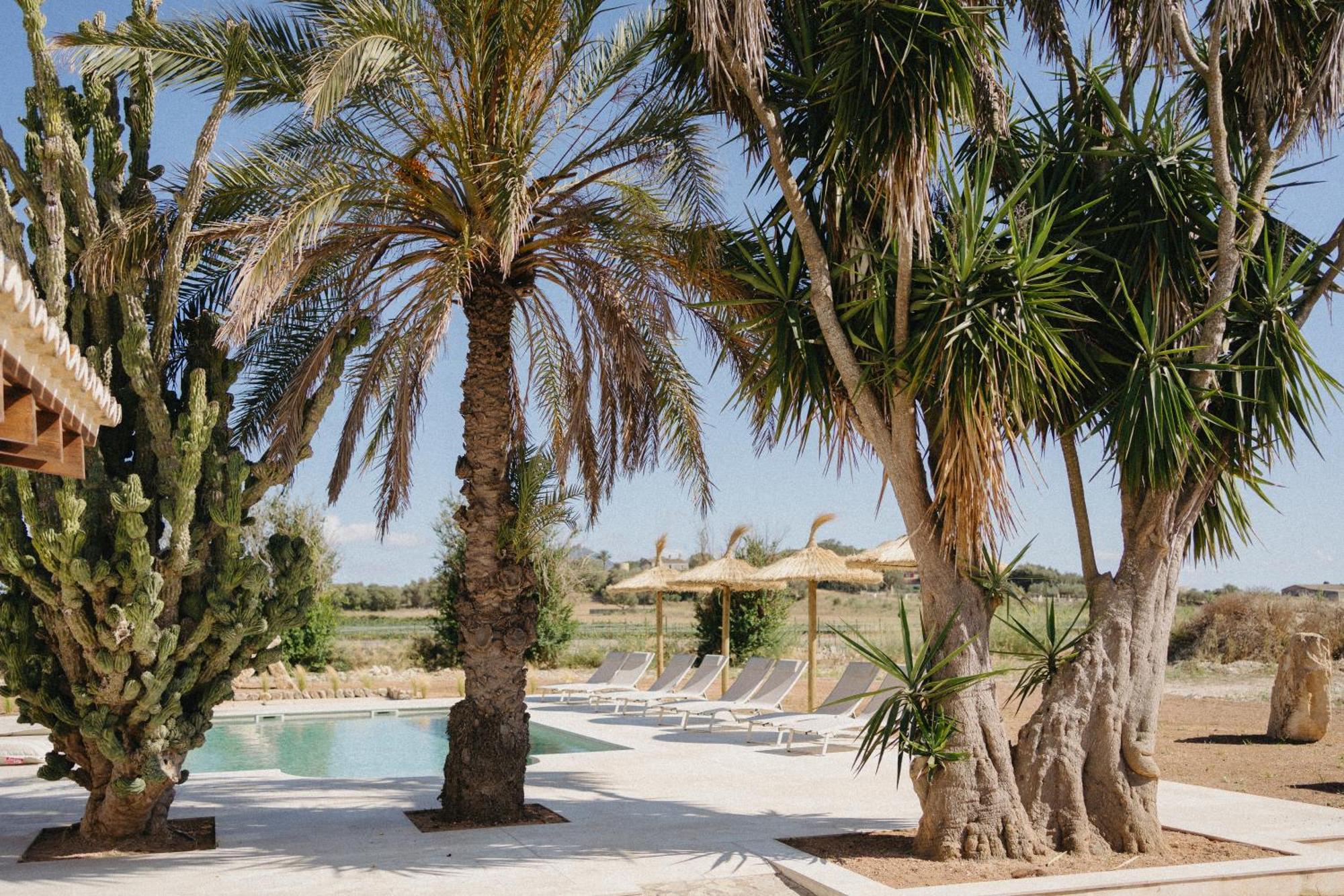 Vino Resort Son Amaret Son Macià Exterior foto