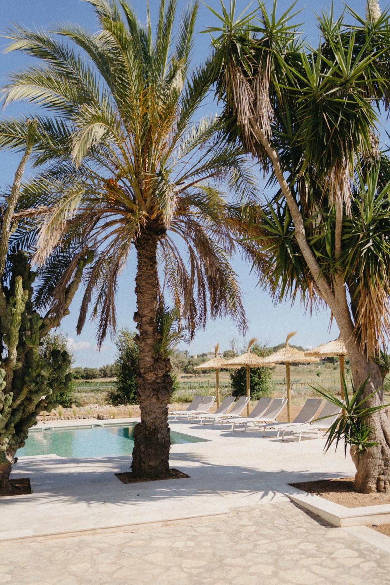 Vino Resort Son Amaret Son Macià Exterior foto