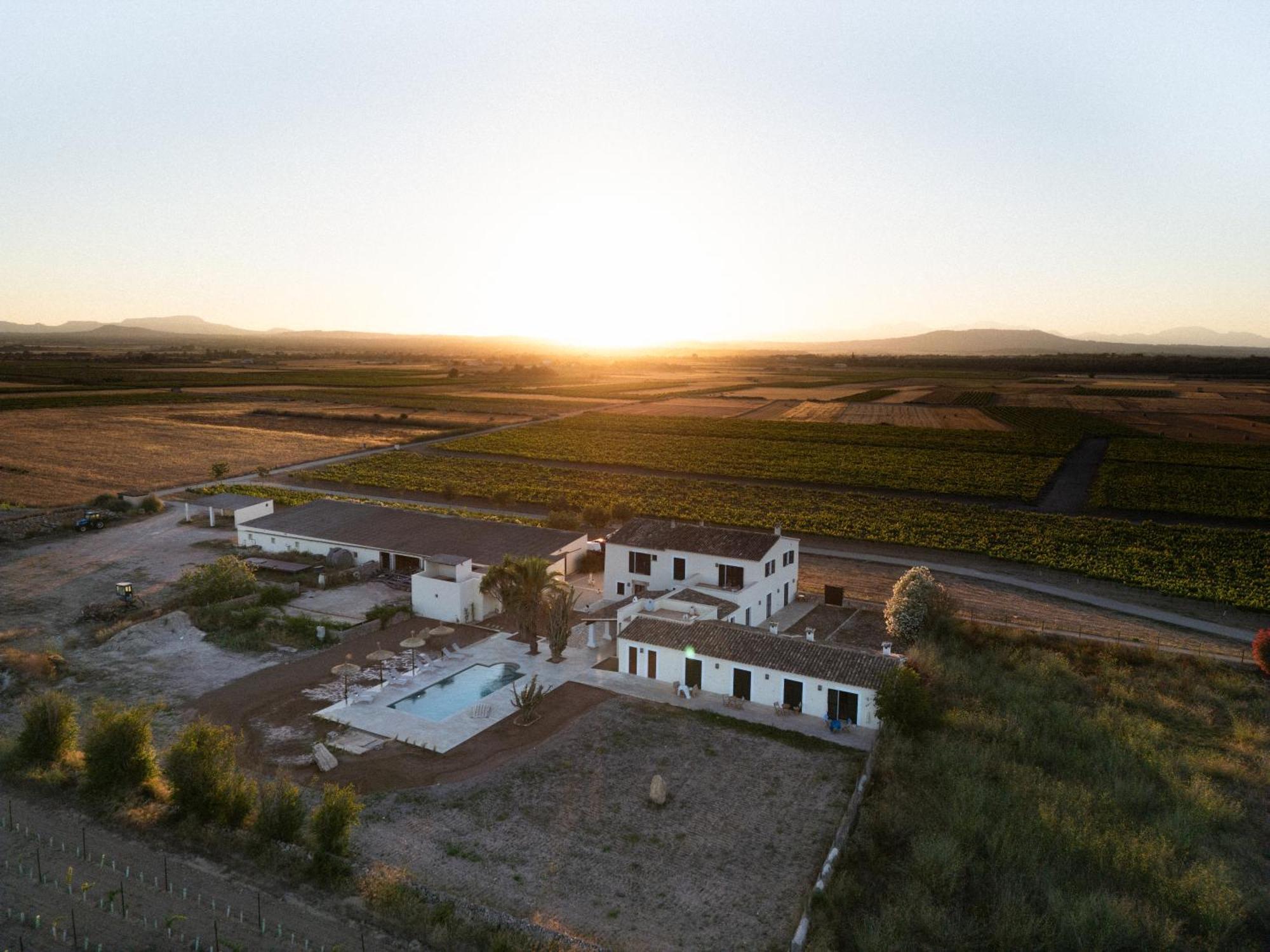 Vino Resort Son Amaret Son Macià Exterior foto